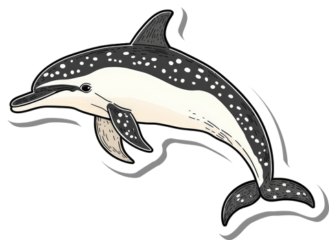 A Spotted Dolphin Leaps Through Ocean Water png