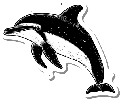 A Black And White Drawing Of A Leaping Dolphin png