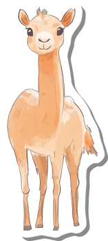 Adorable Young Llama Stands Calmly For Photo png