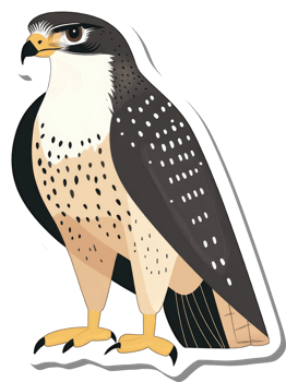 A Striking Illustration Of A Ferruginous Hawk png