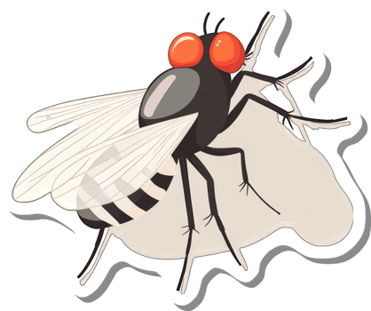 A Cartoon Illustration of a Fly with Large Red Eyes png