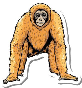A Golden Gibbon Stands Tall and Proud png