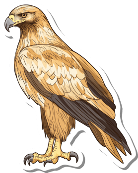 A Golden Eagle Stands Proudly Displaying Its Majestic Feathers png