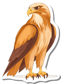 Golden Eagle Bird of Prey Majestic Avian Creature png