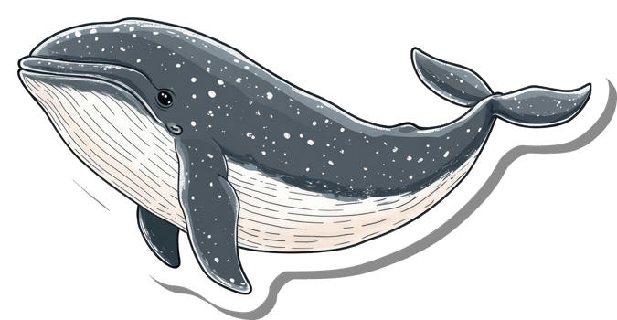 A Gray Whale with White Spots Swims in the Ocean png