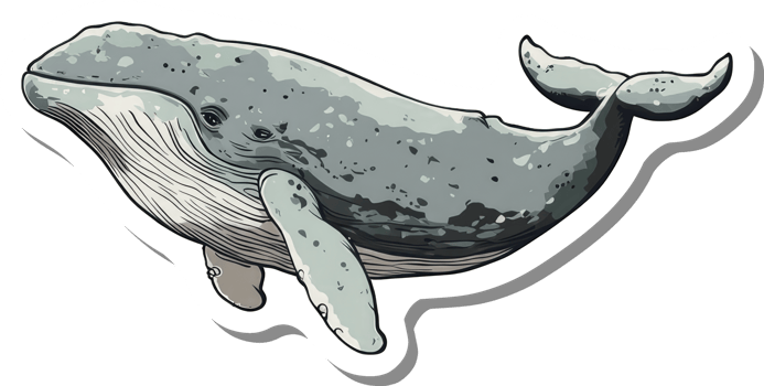 A Gray Whale Sticker Ocean Mammal Aquatic Life png