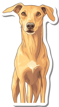 A Light Brown Dog Standing Calmly png