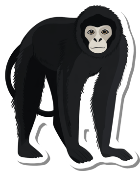 A Black Furry Monkey Stands Facing Forward png