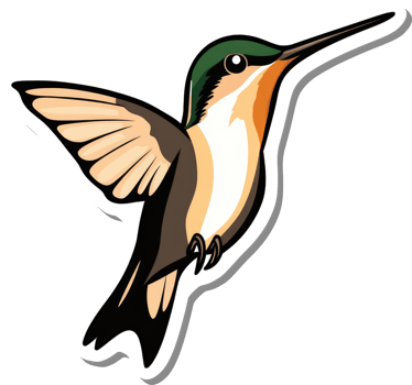 A Vibrant Hummingbird in Flight Gracefully Soaring png