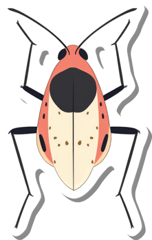A Colorful Illustration of a Unique Insect Species png