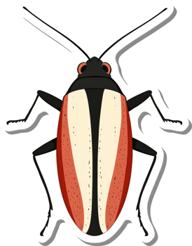 Red and White Beetle Illustration Featuring Long Antennae png