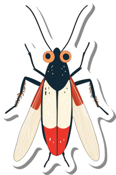 Illustrated Red And White Insect With Large Eyes png