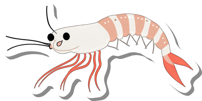 A Cartoon Illustration Of A Happy Pink Shrimp png