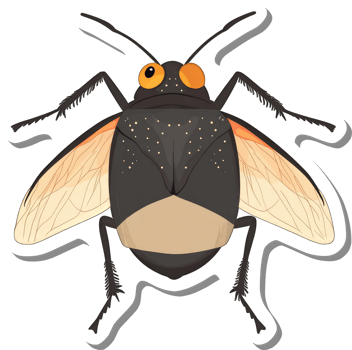 Detailed Illustration Of A Black Insect With Orange Eyes png