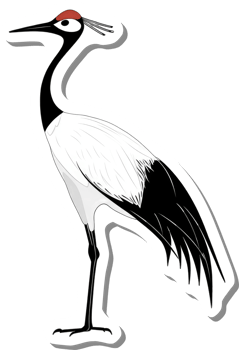 A Black Crowned Crane Stands Tall Gracefully png