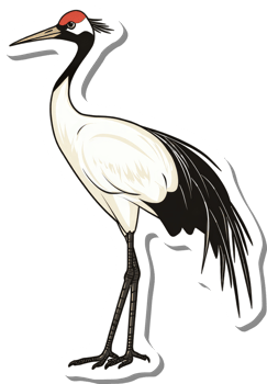 A Red Crowned Crane Stands Tall and Proud png