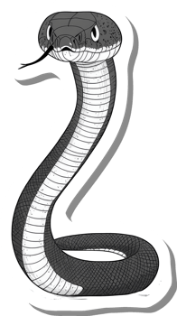 A stylized grayscale illustration of a cobra snake png
