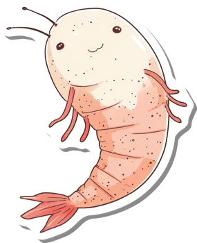 Adorable Cartoon Shrimp Character Design Illustration png