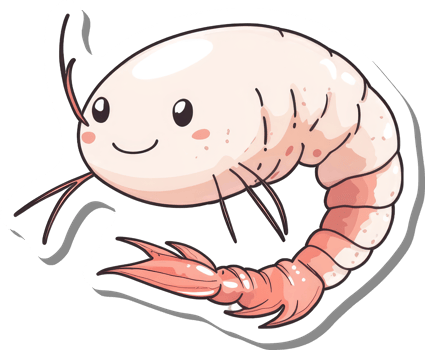 Adorable Cartoon Shrimp Sticker Design Illustration png