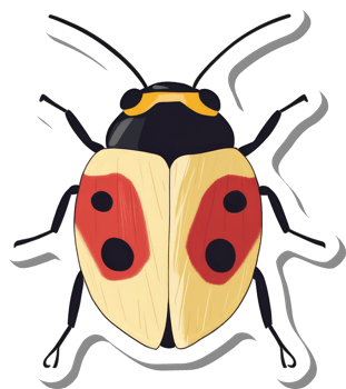 A Unique Yellow Ladybug With Red Spots Illustration png