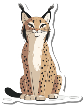 Adorable Lynx Sitting on White Background png