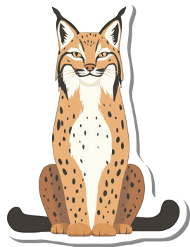 A Spotted Lynx Sitting Calmly and Contentedly png