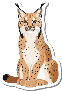 A Sitting Lynx Shows Its Spots And Tuft png