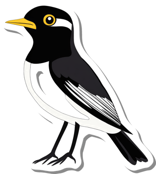 A stylized illustration of a magpie bird png
