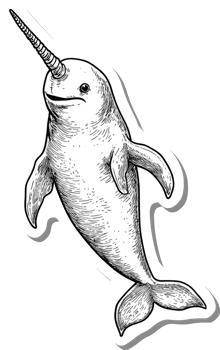 A Detailed Ink Drawing of a Narwhal Whale png