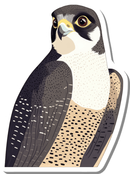 A Striking Illustration Of A Peregrine Falcon png