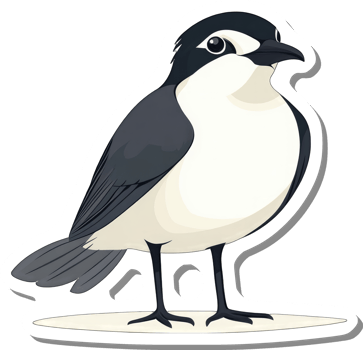A black and white bird illustration stands on a small platform png
