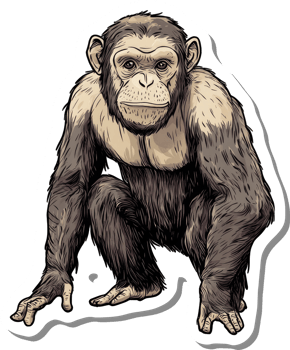 A Young Chimpanzee Sitting Down In A Drawn Style png