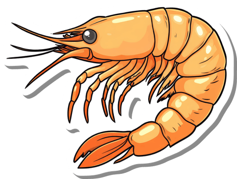 A Delicious Orange Shrimp Sticker Design png