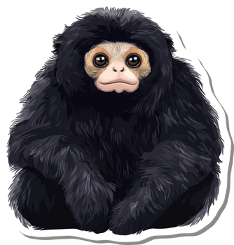 Adorable Black Woolly Monkey Sitting Calmly png