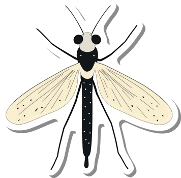 Illustrated Black And Beige Insect With Long Legs And Wings png