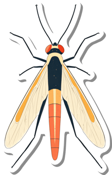 Detailed Illustration of a Colorful Insect with Long Legs png