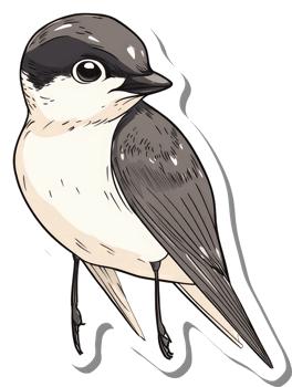 A Detailed Illustration Of A Small Bird Species png