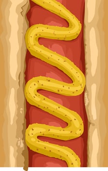 Delicious close up hotdog with yellow mustard vector