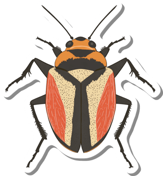 Illustrated Red And Black Beetle With Long Antennae png