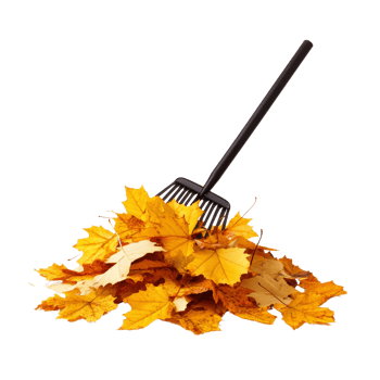 Black leaf rake gathering autumn maple leaves png