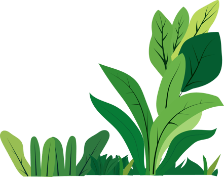 green grass and plants clip art png