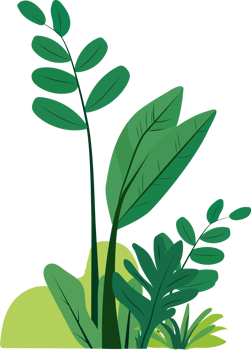 green plants clipart png