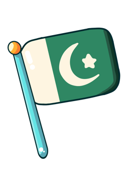 Pakistan flag icon png
