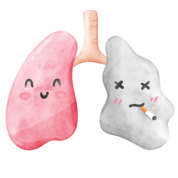 Healthy lung and smoke lung png