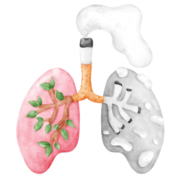 No Smoking Day Awareness with lungs png