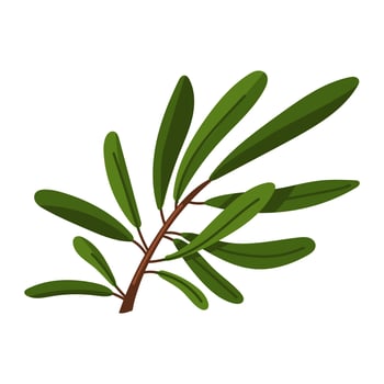 a branch of olives. A long branch with many leaves. Flat color illustration on a white background. A broken branch, nature. A decorative element for decoration. Holidays for making molds vector