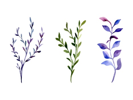 Branches leaves watercolor set plants blue purple and green colors isolated illustration. Abstract colorful twigs and leaf hand drawn. Floral elements set for design card, textile, wrapping. vector