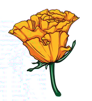 elegant half-opened yellow rose bud, image of exquisite rose flower, minimalistic hand drawn illustration for logo, tattoo or business card vector