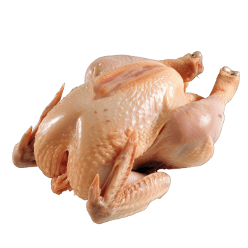 Whole raw chicken png