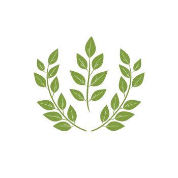 A graphic representation of green leaves forming a decorative wreath design. png